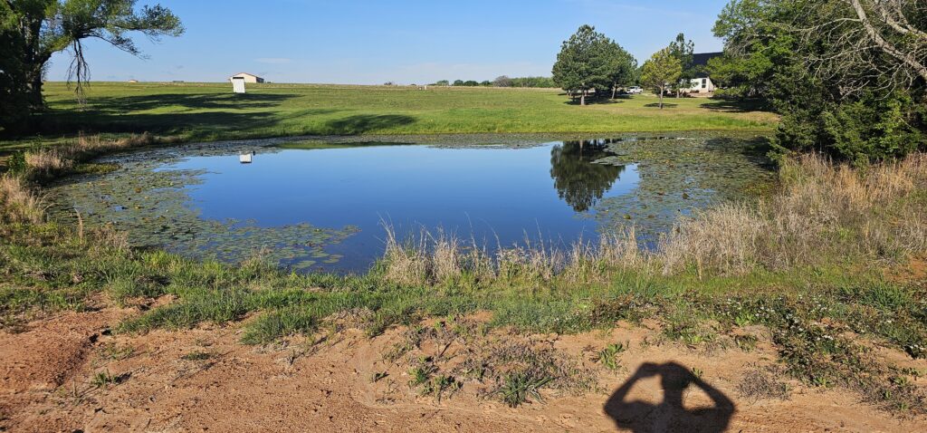 Pond restoration for fishing East Texas
