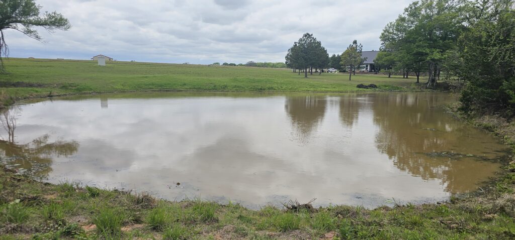 Thick green aquatic weeds requiring removal from pond water