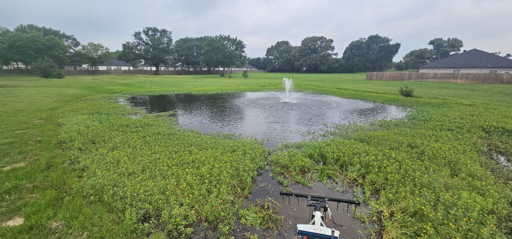 Pond restoration for fish habitat East Texas