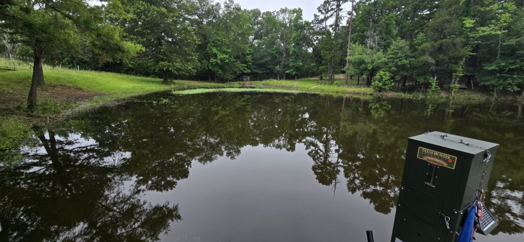 Pond cleaning commercial property East Texas