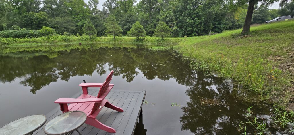 Pond restoration lake style East Texas