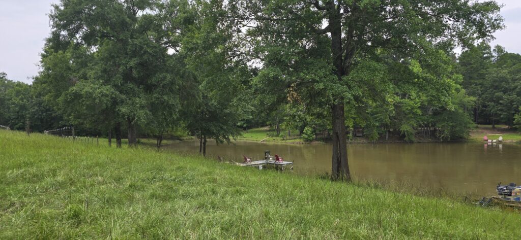 Panoramic view of a pond with green lawn, mature trees, and natural landscaping on a cloudy day