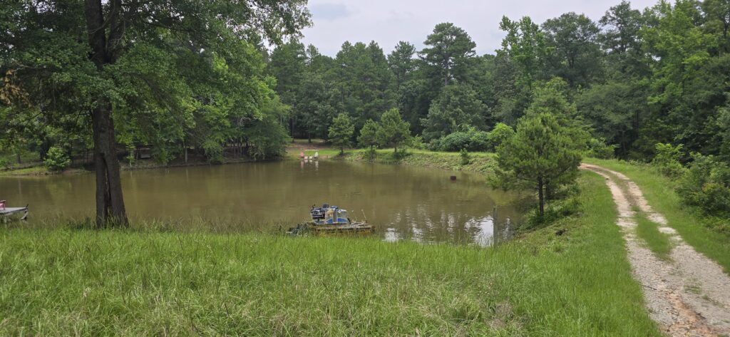 Tree-lined pond with green sloping grass bank and overcast sky