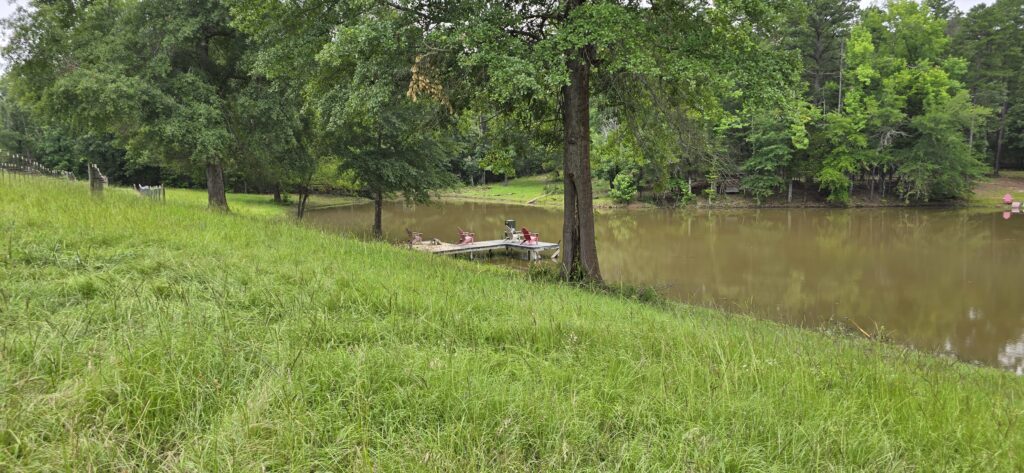 Wide view of a pond with green lawn, scattered trees, and a small structure visible in the background