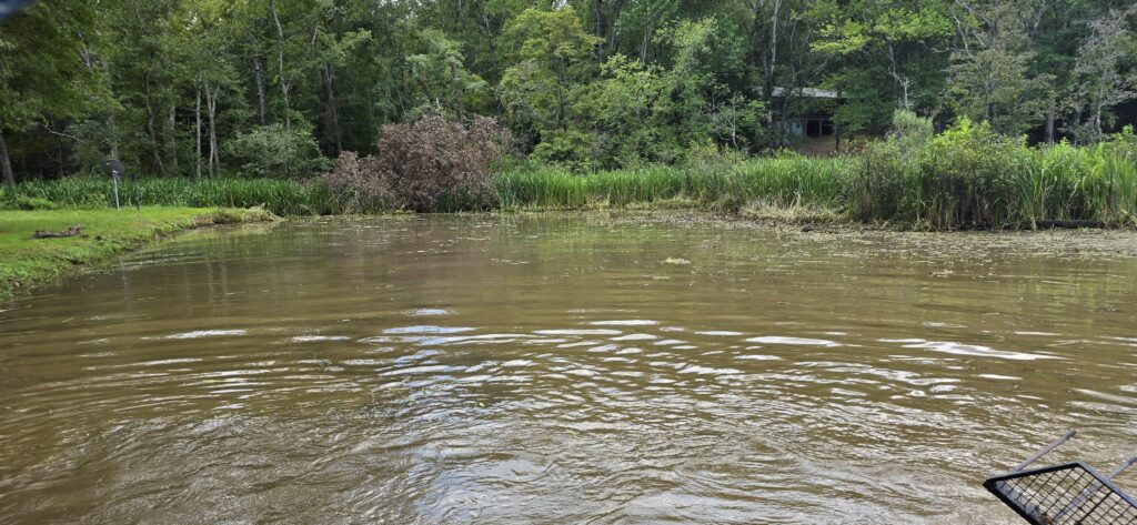 Pond restoration service East Texas acreage