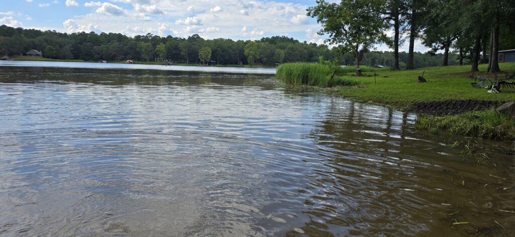 Pond cleaning ranch East Texas