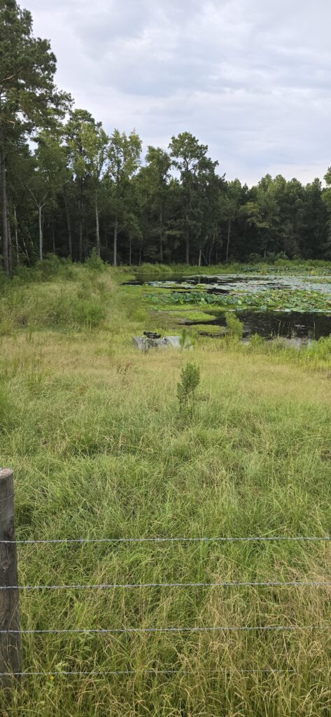 Pond cleaning seasonal service East Texas