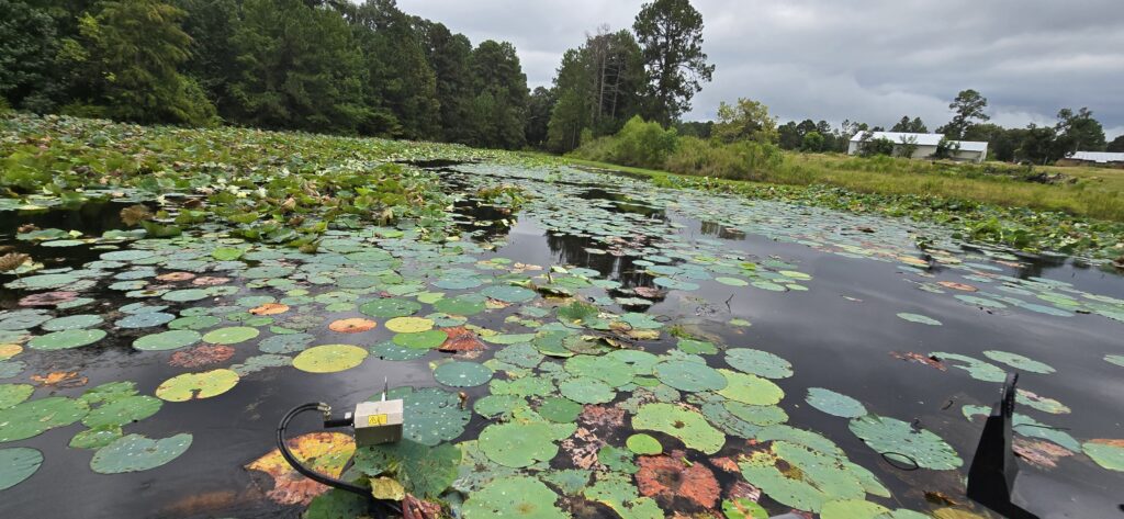 Pond cleaning equipment East Texas
