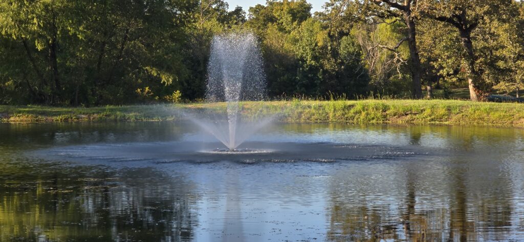 Pond vegetation removal Tyler TX
