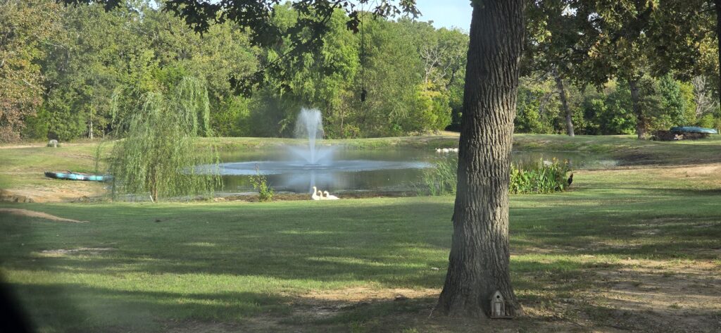 Pond silt removal Tyler Texas