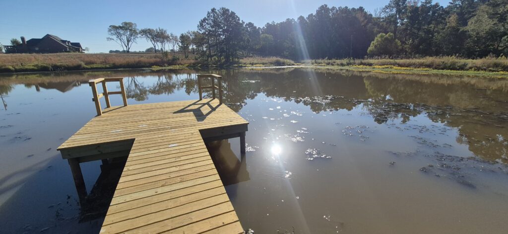 Pond water improvement Tyler TX