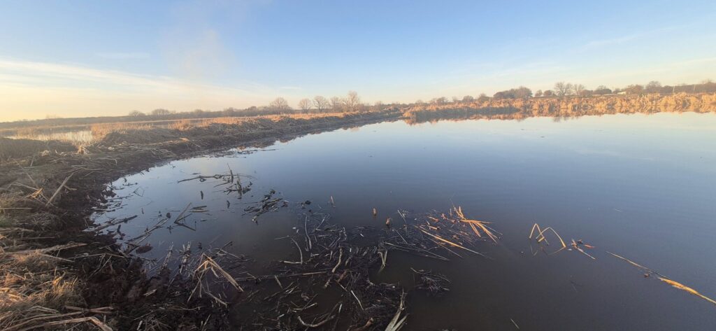 Algae removal from pond in Tyler TX