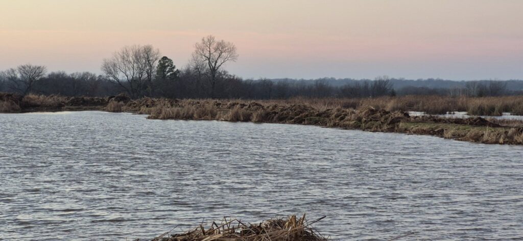 Pond dredging service in East Texas