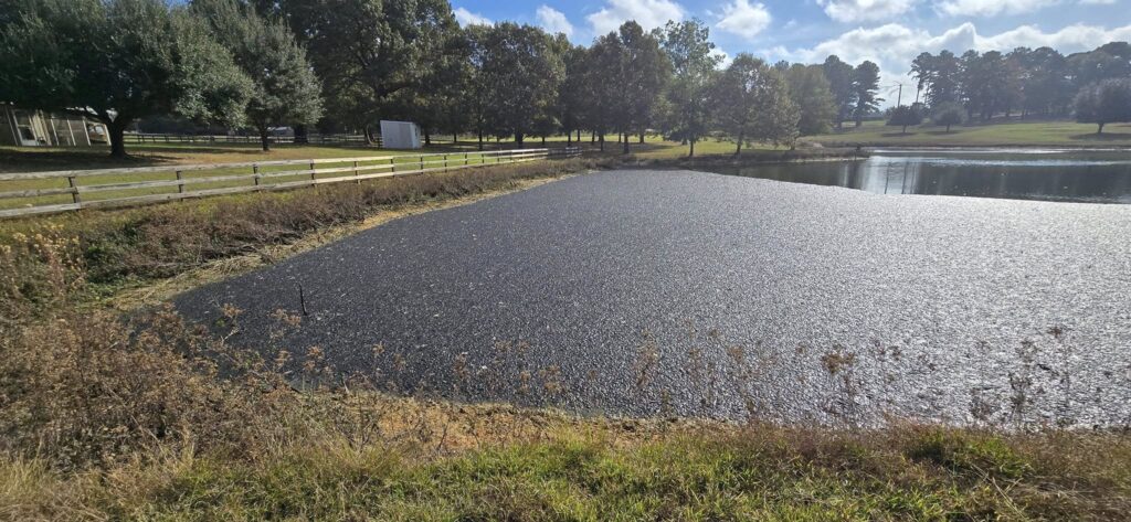 Large pond restoration East Texas