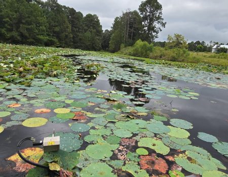 Calm brown-water pond with green shoreline and trees under partly cloudy sky